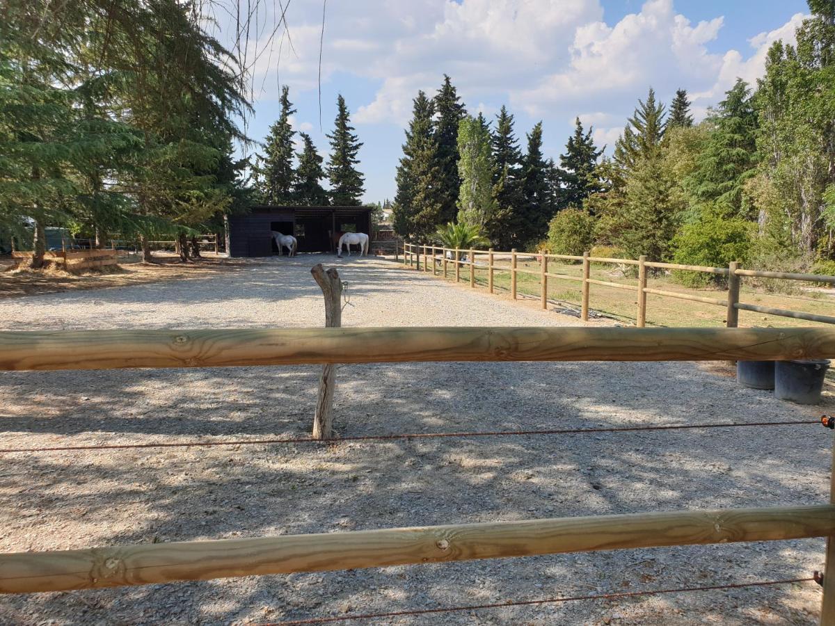 Chambres D'Hotes Dans Propriete Rurale Безие Екстериор снимка